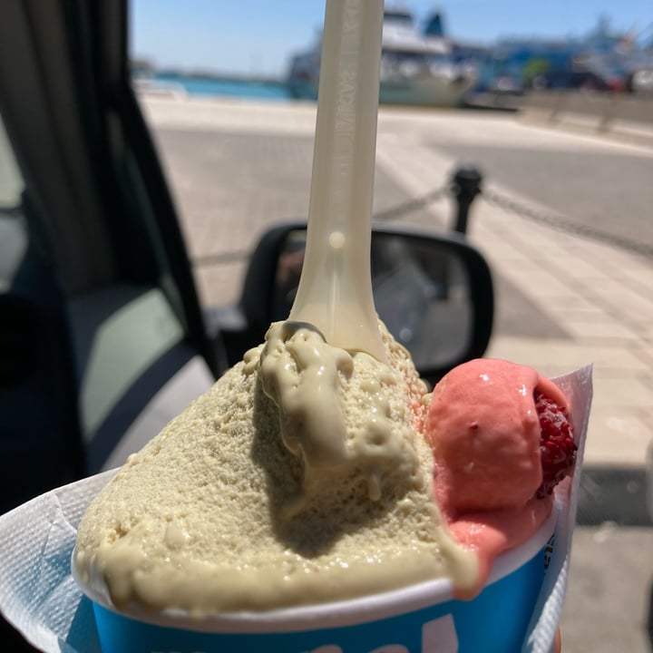 review photo of Gelateria Meno Tredici Gelato Vegan shared by @veganile on 14 May 2022 - review
