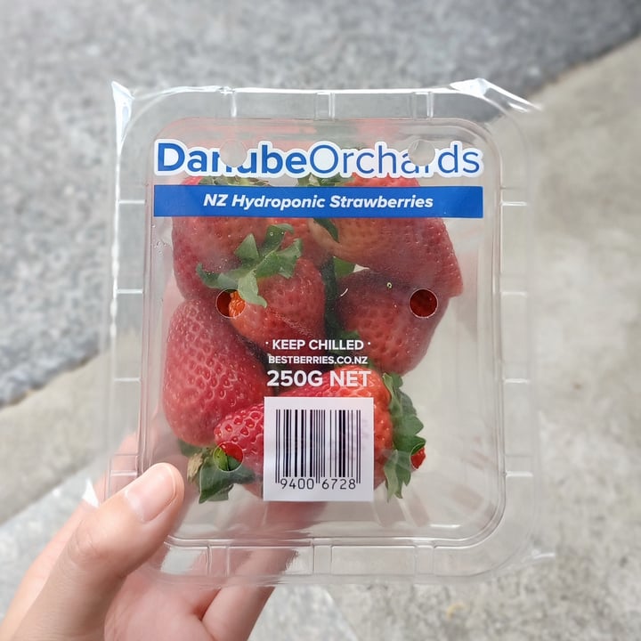 Danube Orchards NZ Hydroponic Strawberries Review abillion