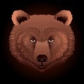 @pacbarros profile image