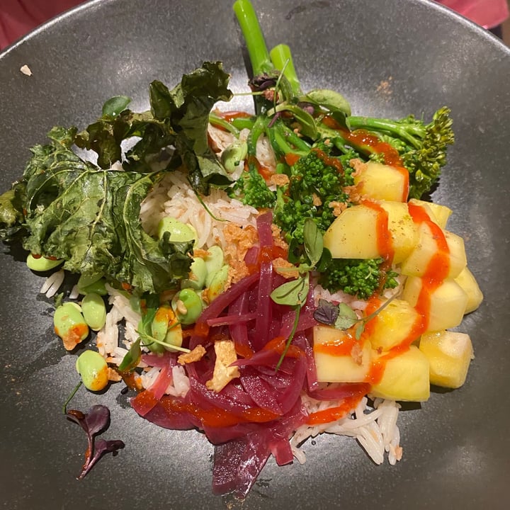 photo of The Alchemist Cheltenham Buddha bowl shared by @abbierose on  18 Jun 2021 - review