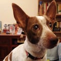 carolasorr @carolasorr profile image