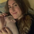 noeliaperez @noeliaperez profile image