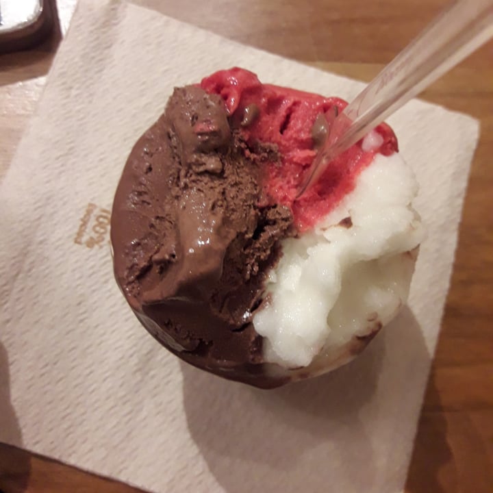 photo of Amorino Helado Vegano shared by @jndaza on  09 Aug 2020 - review