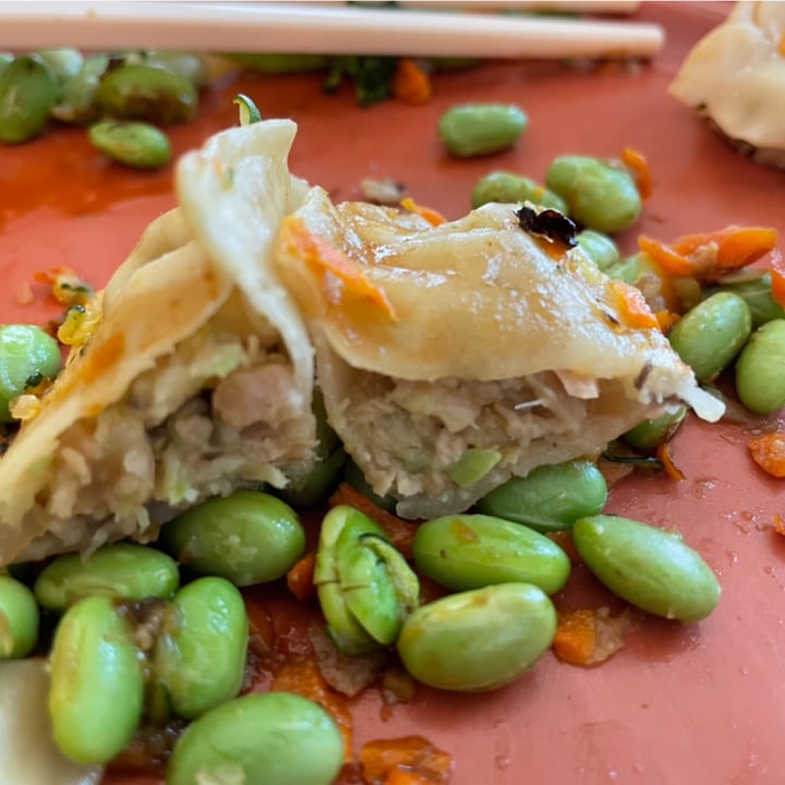 photo of Daylee pride Vegetable Gyoza Potstickers shared by @veggietable on  26 Oct 2021 - review