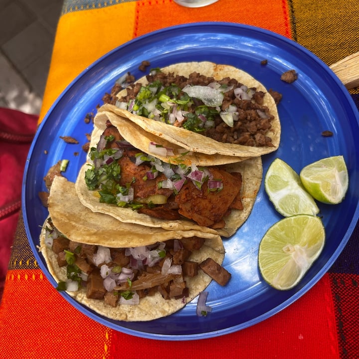 photo of Semilla Verde Cocina Saludable Tacos de Suadero shared by @vaniaveg on  13 Aug 2022 - review
