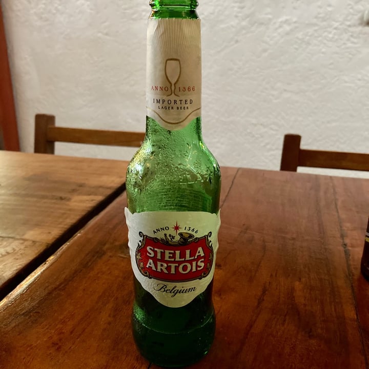 photo of Stella Artois Premium Lager Beer  shared by @irevetcr on  23 Jul 2021 - review