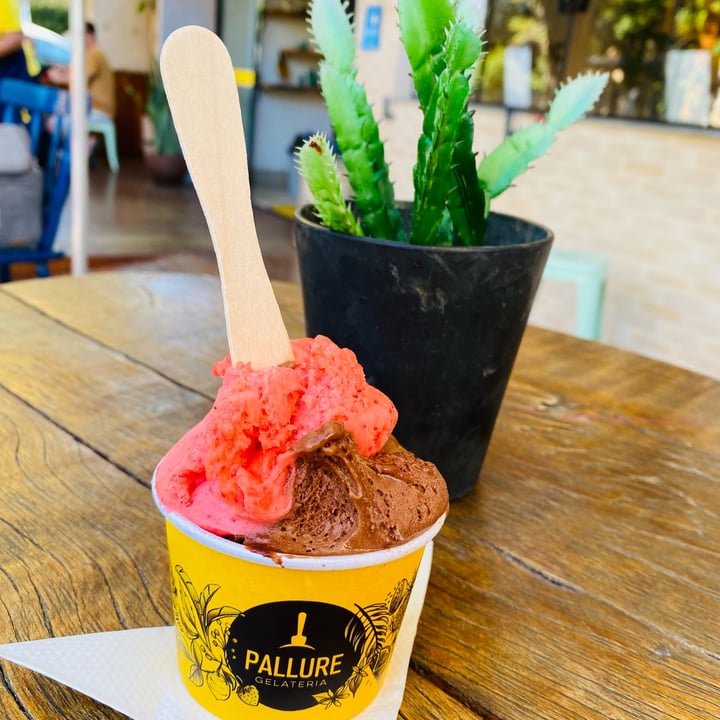 photo of Gelateria Pallure Vegan Ice-Cream shared by @flaveg2022 on  28 May 2022 - review