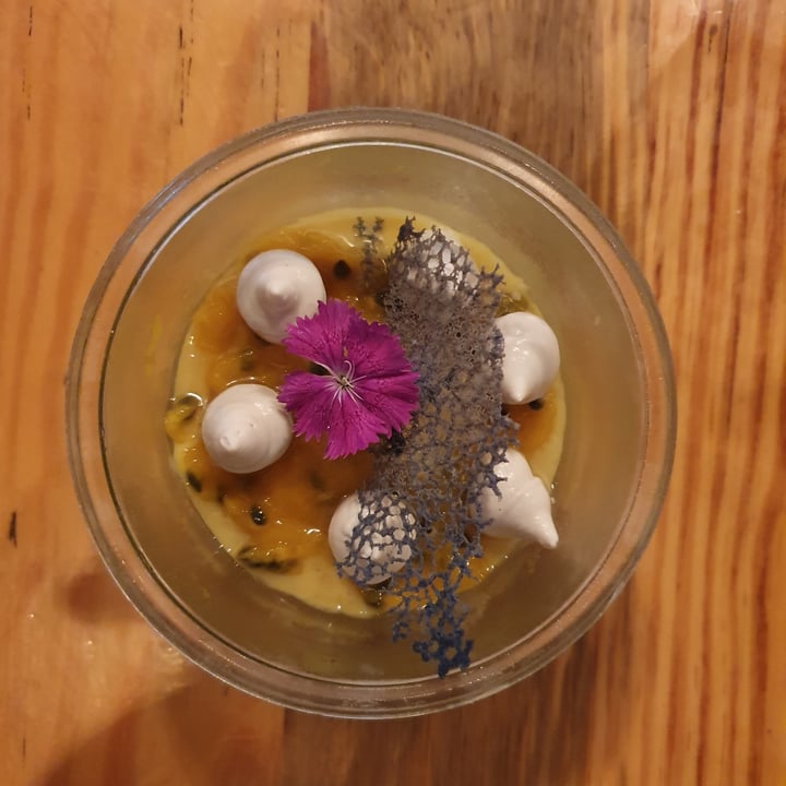 review photo of MIMO Vegan Bistro Mousse MIMO shared by @lucri on 21 Aug 2022 - review