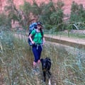 adolence @adolence profile image