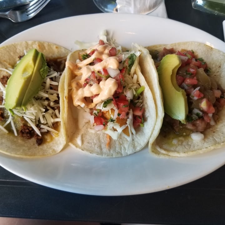 photo of Baby Salsa Mexican Restaurant Vego Taco shared by @veganonvanisle on  18 Jul 2021 - review