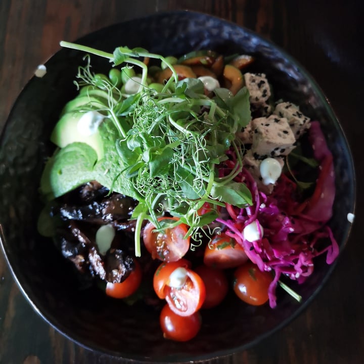 photo of Church - Temple of Fun Buddha bowl shared by @juliakrz on  23 Apr 2022 - review