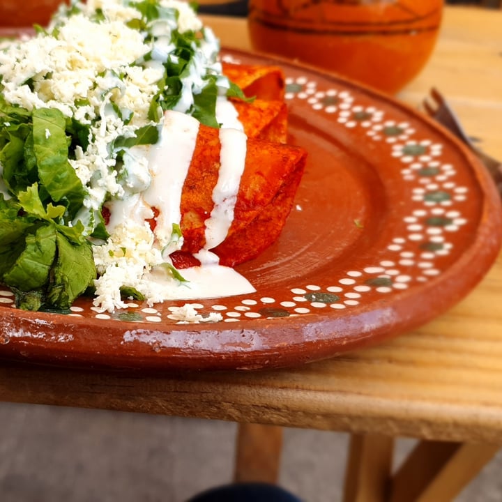 photo of Mictlan Antojitos Veganos Chiltlaxcalli enchiladas en salsa roja rellenas de papa y zanahoria shared by @bernardini96 on  15 Jun 2022 - review