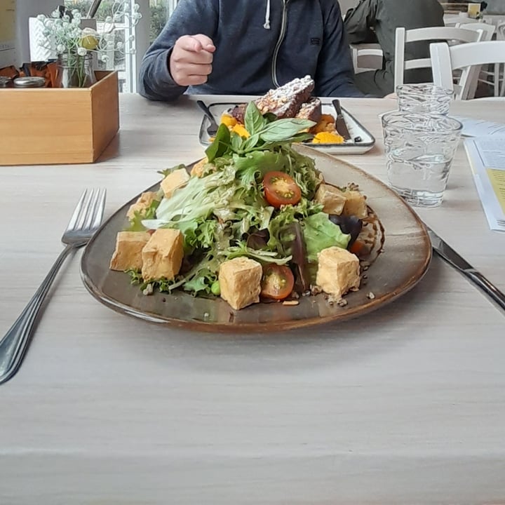 photo of The Parkhouse Whenuapai Cafe & Eatery goddess salad shared by @jessensupremcay on  14 Dec 2022 - review