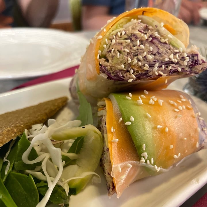 photo of Botanica Lab Cucina Spring rolls shared by @loveg on  27 Jun 2021 - review