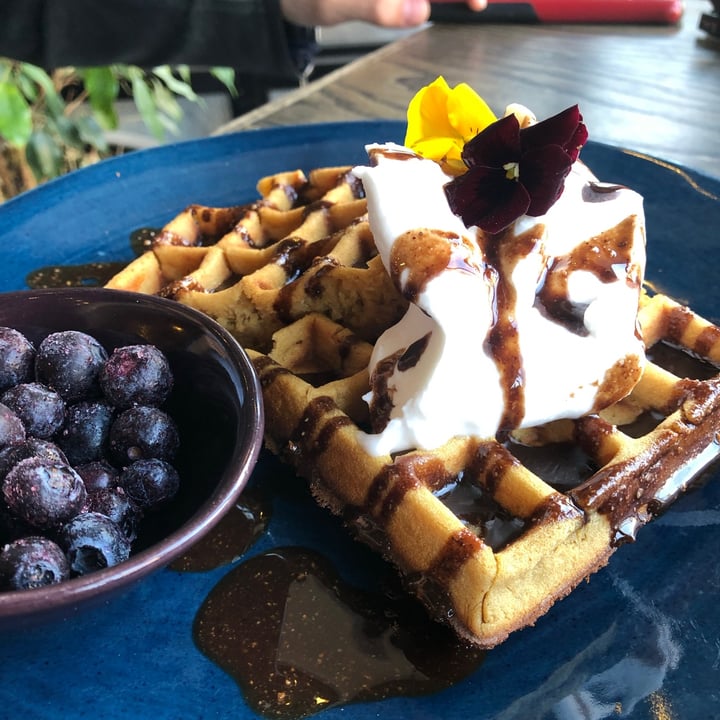 review photo of Lexi's Healthy Eatery Choc chip Waffles shared by @erinjaimeheart on 06 Dec 2020 - review