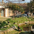margheritadibosco @margheritadibosco profile image