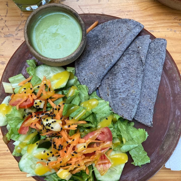 photo of Trigo Verde Suc. Central Quesadillas veganas shared by @amandagm on  19 Oct 2021 - review