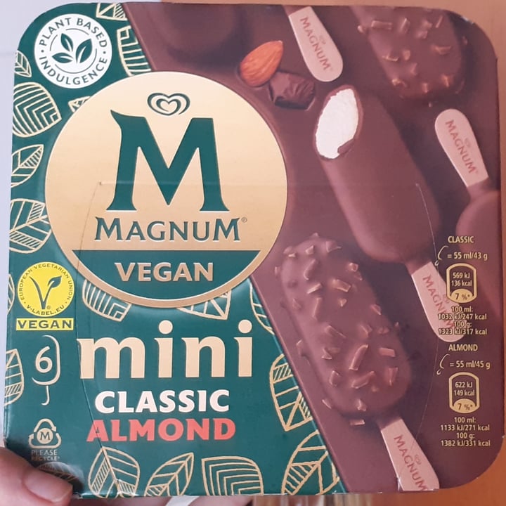 photo of Magnum Non-Dairy Mini shared by @lrh22 on  29 May 2022 - review