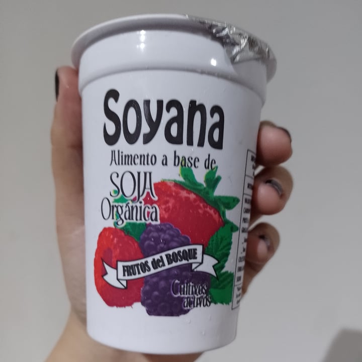 photo of Soyana Yogurt a Base de Soja sabor Frutos del Bosque shared by @caiqui on  02 Sep 2021 - review