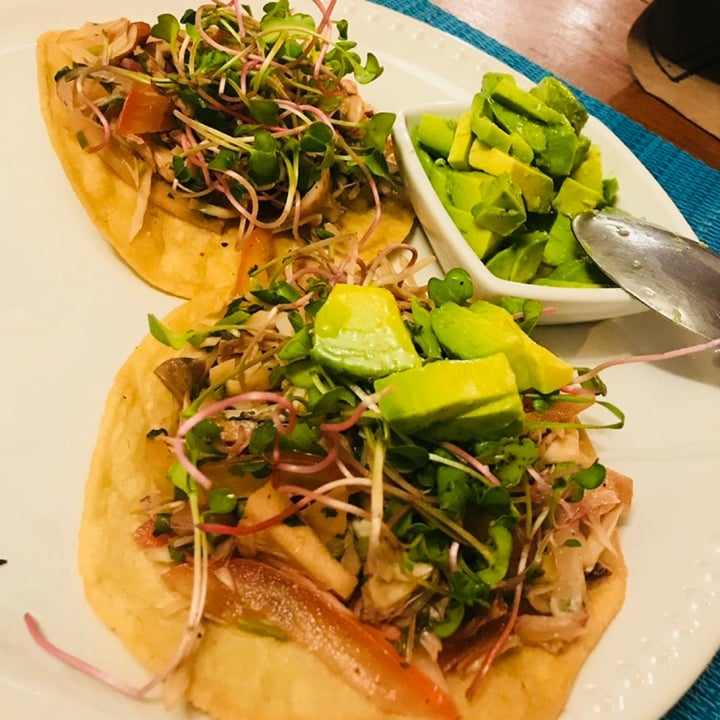 photo of Sirena Morena Tacos de Carnitas shared by @vannyrev on  05 Jun 2020 - review