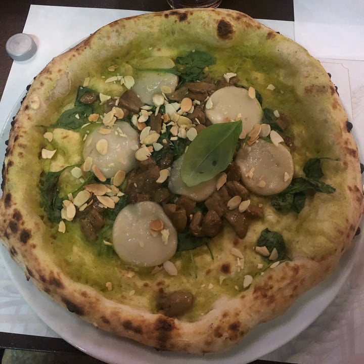 photo of Organic Pizza and Food Zucchini e porcini shared by @greenonthebeam on  14 Jun 2022 - review