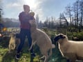audrey4animals @audrey4animals profile image