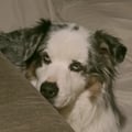 basav @basav profile image