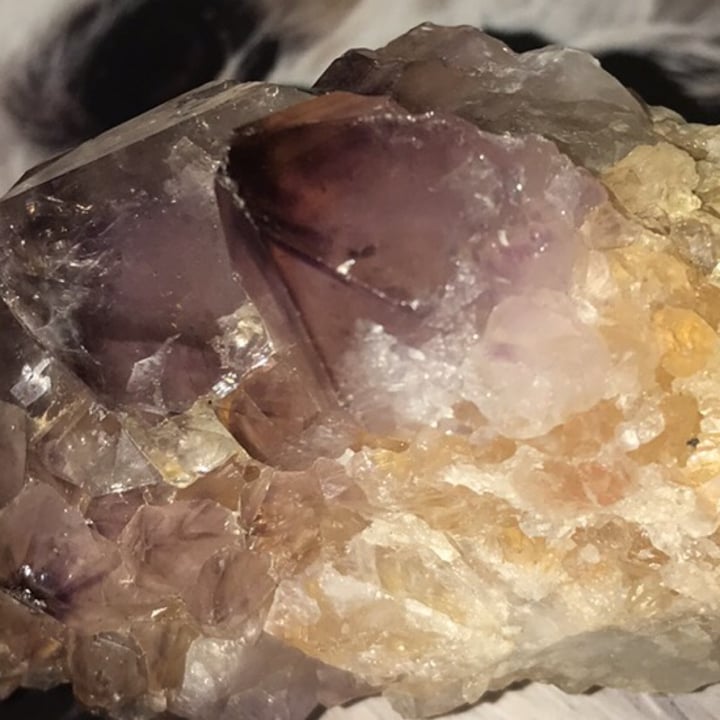 review photo shared by @jenny2021 on 24 Jul 2022 - post