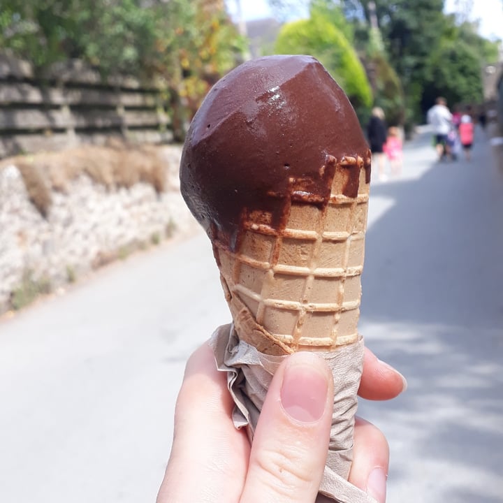 photo of Two Islands Ice Cream Dark Chocolate And Ginger Ice Cream shared by @nahtalix on  29 Jul 2021 - review