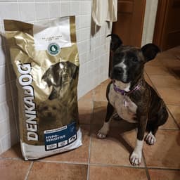 Denkadog