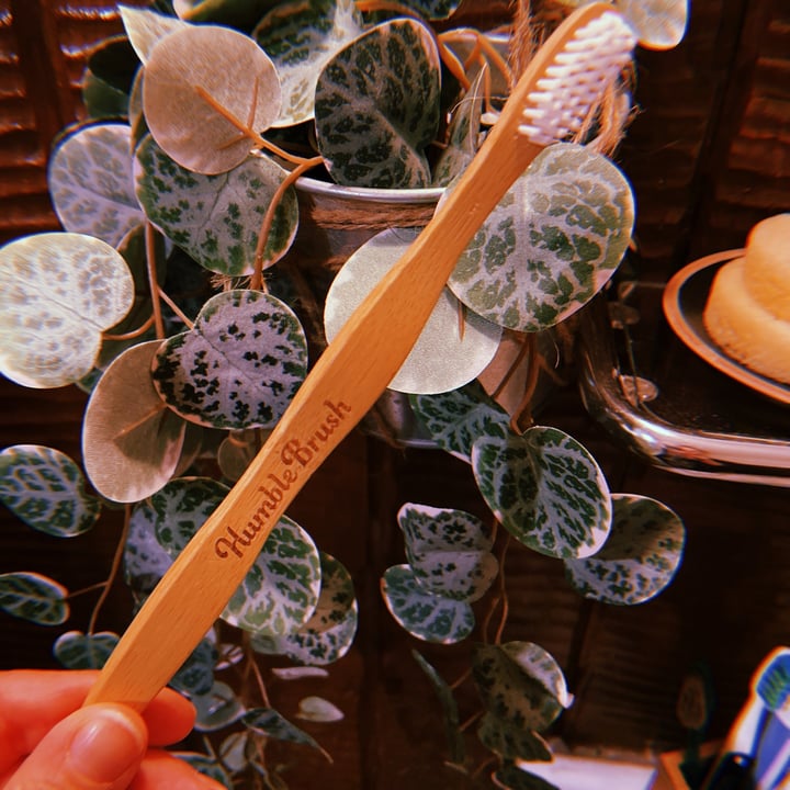 review photo of The Humble Co. Spazzolino shared by @karenina on 07 Jul 2021 - review