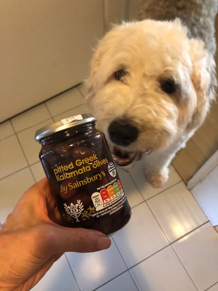 photo of Sainsbury's Pitted Greek Kalamata Olives shared by @brigittestaps on  16 Dec 2019 - review