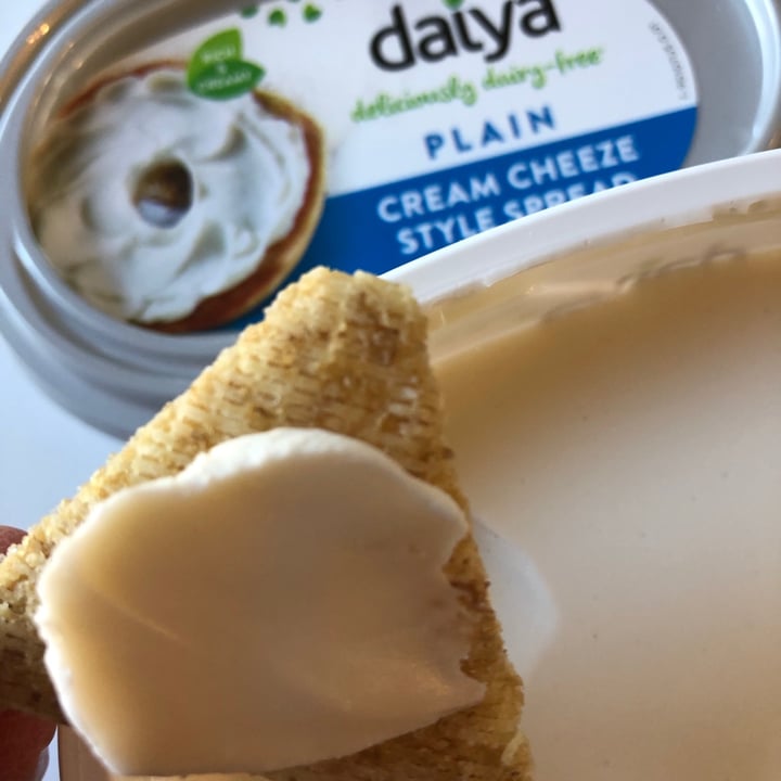 photo of Daiya Plain Cream Cheeze Style Spread shared by @veggietable on  06 Feb 2021 - review