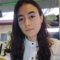 yarely @yarely profile image