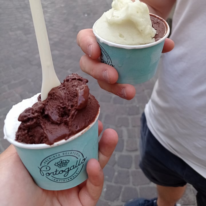 photo of Gelateria Portogallo Coppetta Media shared by @beatricedearca on  27 Jun 2022 - review