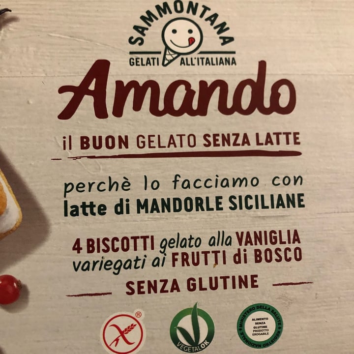 photo of Sammontana Biscotto Gelato Con Frutti Di Bosco shared by @dariadanilowska on  15 May 2022 - review