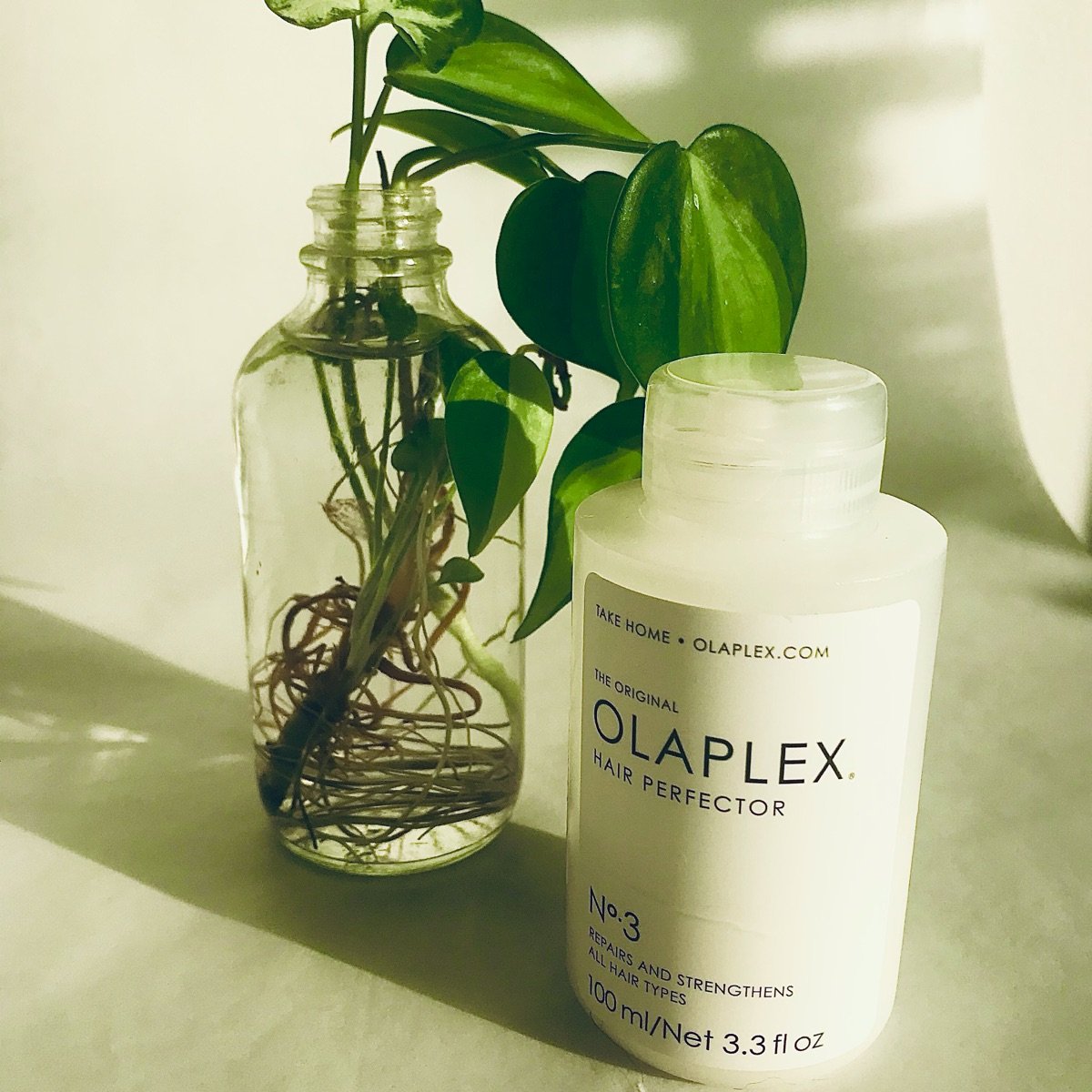 Olaplex No 3 Hair Perfector Reviews Abillion olaplex-no-3-hair-perfector-reviews-abillion