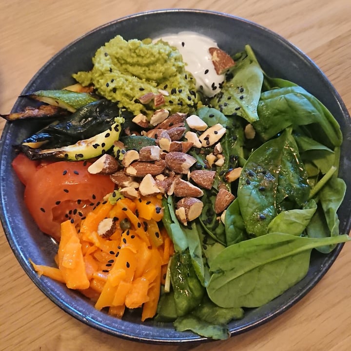 photo of Tolstoy - Plant-Based Eatery Smoked “Salmon” Lox shared by @sunmoony on  02 Sep 2022 - review