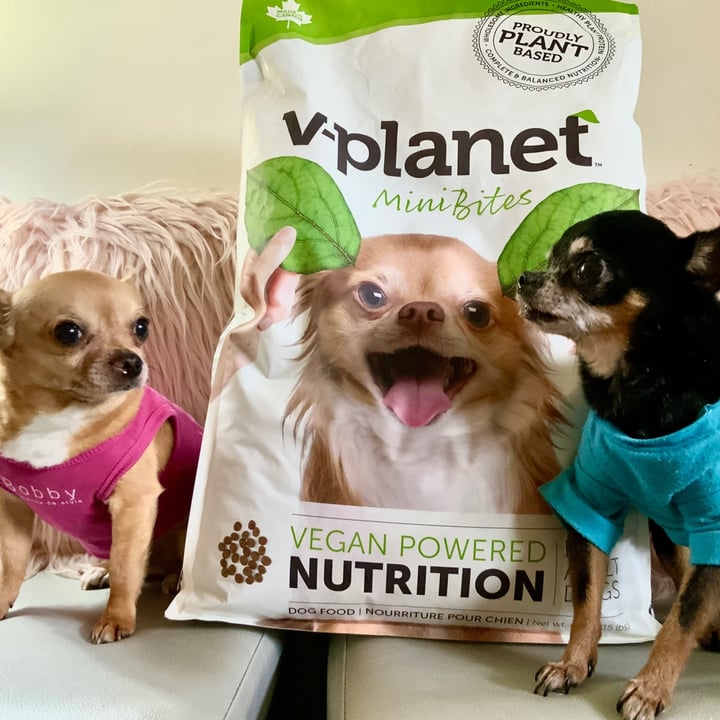 photo of v-planet v-planet kind kibble mini bites 4.5 LB bag shared by @dolcebassvegan on  19 Apr 2021 - review