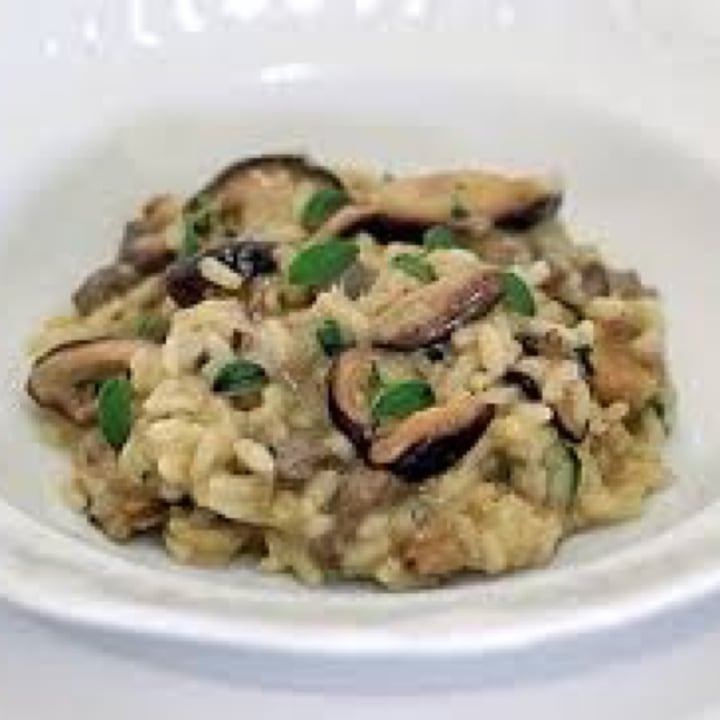 Cogumelos São Carlos Shimeji Review abillion