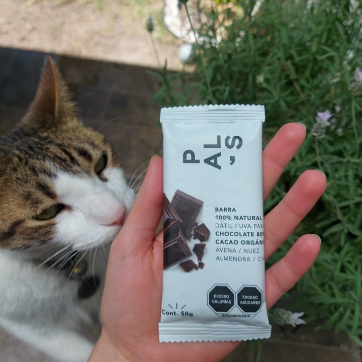 review photo of Pal’s Barra de chocolate, dátiles y uva pasa shared by @andrearebeca on 11 Apr 2021 - review