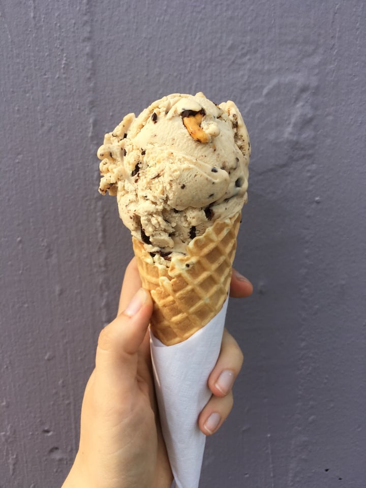 review photo of Earnest Ice Cream Peanut butter chocolate pretzel icecream shared by @sistervegans on 16 Jul 2018 - review