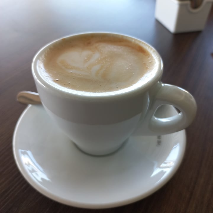review photo of Restaurante El Parador cafe con leche de soja shared by @ixb on 23 Jun 2022 - review