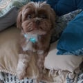 katmmartins @katmmartins profile image
