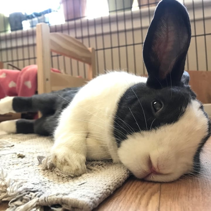 review photo shared by @dory on 17 Jul 2021 - post