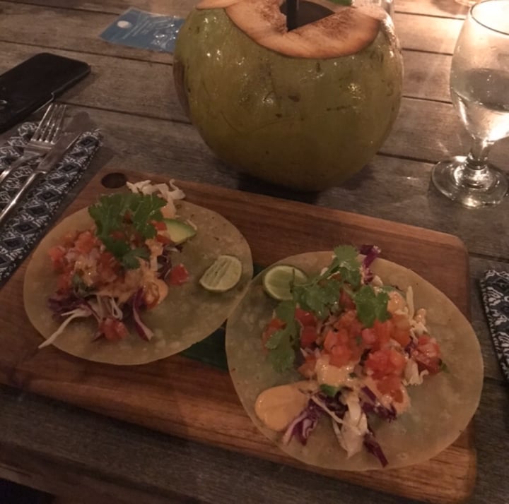 photo of Sandy Bay Beach Club Jackfruit Tacos shared by @vanessaainsley on  18 Apr 2020 - review