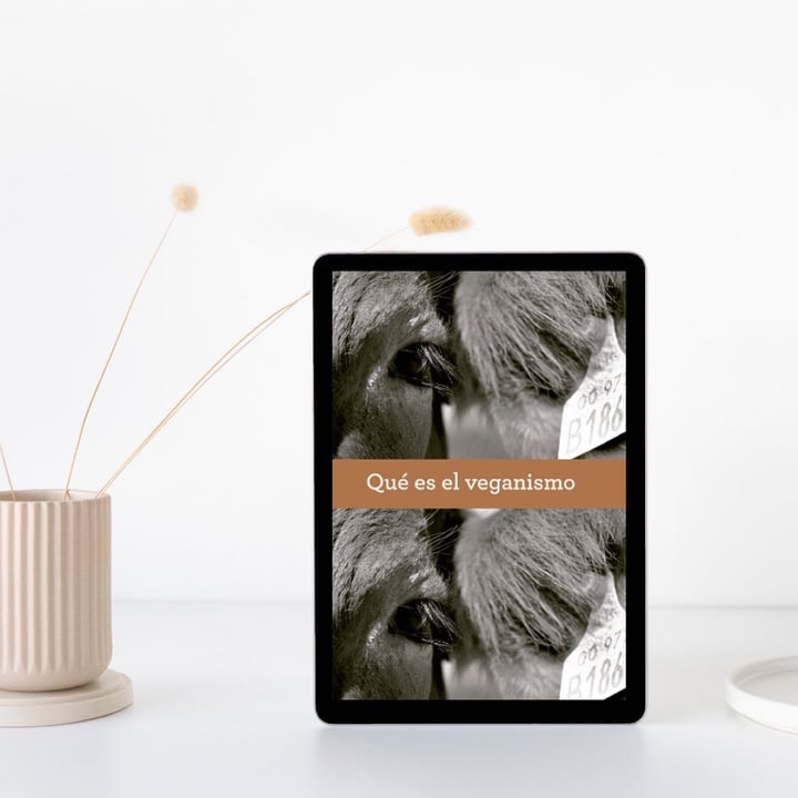 review photo of Ochodoscuatro Ediciones Qué es el veganismo shared by @dietistavegano on 08 Nov 2022 - review