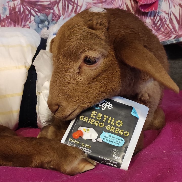 review photo of Violife Queso bloque estilo griego shared by @elur on 25 Dec 2021 - review