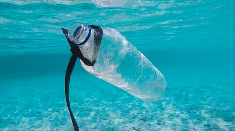 4 Ways You Can Reduce Your Plastic Usage