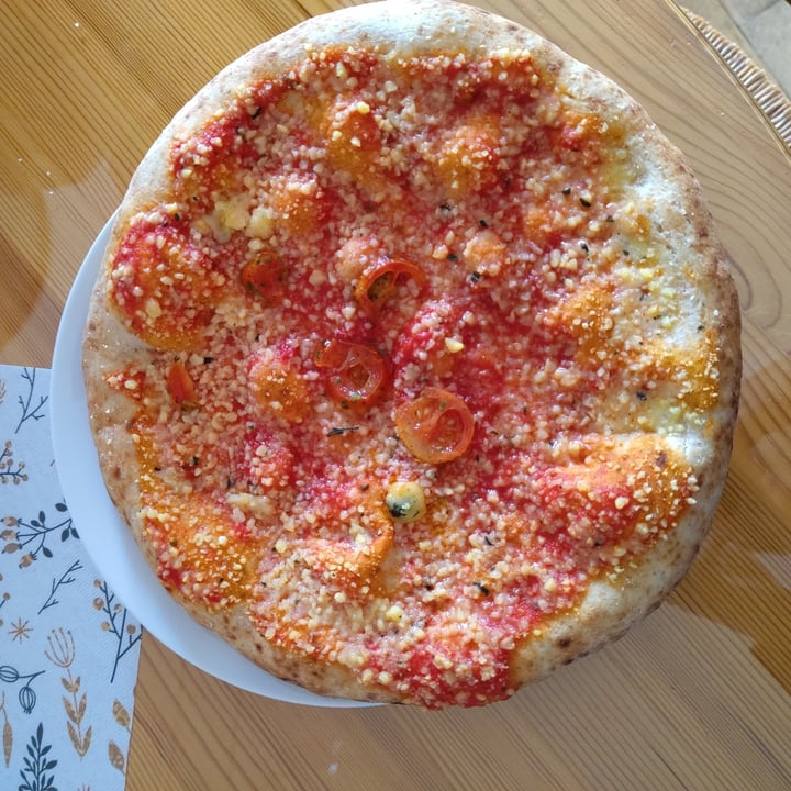 review photo of Vemondo Vegan pizza Margherita shared by @basedplants on 08 Jan 2022 - review